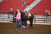 WEAVER, ROSEDSC_1243.JPG