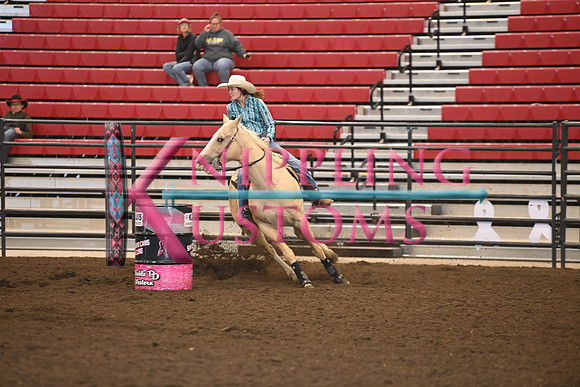TAYLOR, DESSIDSC_5224.JPG