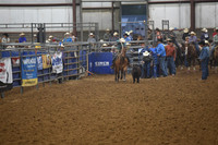 Tie Down Roping