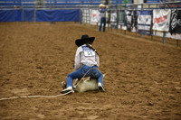 CASTEEL, SCOUTDSC_8095.JPG