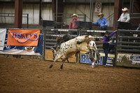 EDGAR, CASHDSC_8643.JPG
