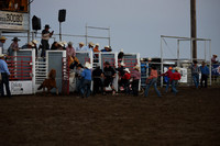 Wild Pony RaceDSC_6073