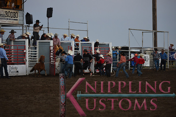Wild Pony RaceDSC_6073