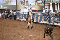 ILLIES, CALLIEDSC_6948.JPG