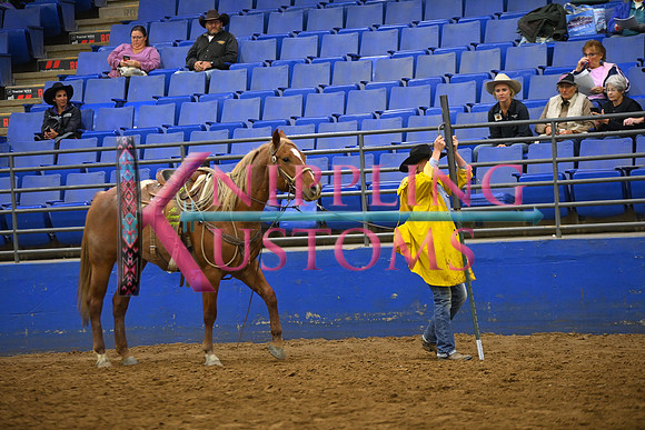 MCDANIEL, KELLYDSC_4226.JPG