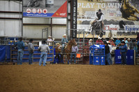 Tie Down Roping