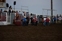Wild Pony RaceDSC_6074