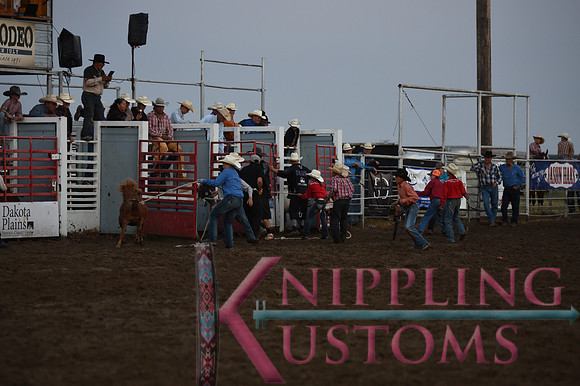 Wild Pony RaceDSC_6074