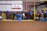 Steer Wrestling