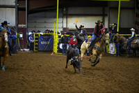 BAUER-BOOTEDSC_3550.JPG