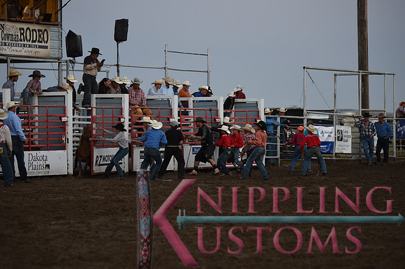Wild Pony RaceDSC_6072