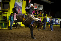BASSETT, TANNERDSC_1892.JPG