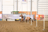 BEESON, SHADADSC_0309.JPG