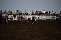 Wild Pony RaceDSC_6086