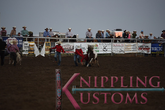 Wild Pony RaceDSC_6086