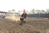 AMIOTTE, BREEZYDSC_6334.JPG