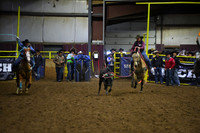 BAUER-BOOTEDSC_3548.JPG