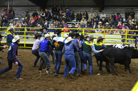 WILD STEER RIDINGDSC_4078.JPG
