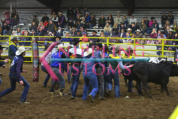 WILD STEER RIDINGDSC_4078.JPG