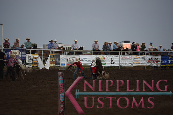 Wild Pony RaceDSC_6085