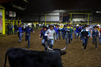 WILD STEER RIDINGDSC_4072.JPG