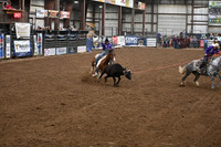 BRINK-HAUKDSC_8883.JPG