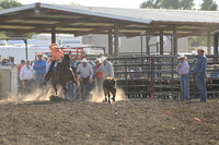 AMIOTTE, BREEZYDSC_6322.JPG