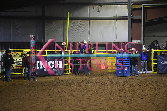 NIELSEN, KALYNDSC_0977.JPG