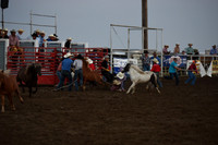 Wild Pony RaceDSC_6079