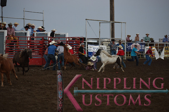 Wild Pony RaceDSC_6079