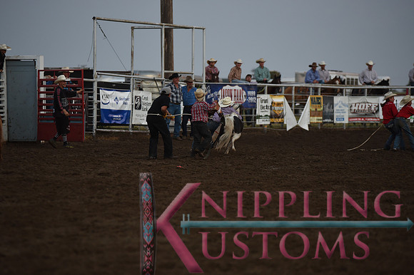Wild Pony RaceDSC_6084