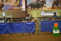 JANDREAU, CEDARDSC_2382.JPG