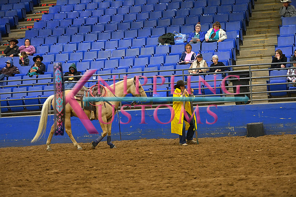 JANDREAU, CEDARDSC_2399.JPG