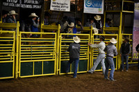 Saddle Bronc Riding