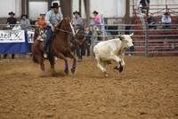 Webb, BogieDSC_4874