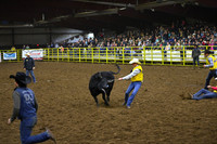 WILD STEER RIDINGDSC_4083.JPG