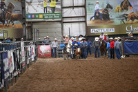 SCHEER, TALONDSC_3460.JPG