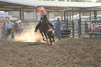 AMIOTTE, BREEZYDSC_6327.JPG