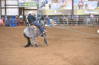 BRAZILE, TREVORDSC_1367.JPG