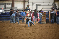 CLEMENTS, MYERDSC_8367.JPG