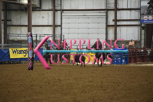17 PIRRUNG-BILBYDSC_0357