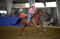 CASH, TERRIDSC_4371.JPG