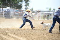Barry, TawnyDSC_5484