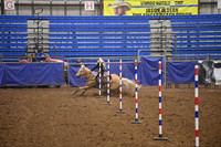 BAIL, KENZLEE DSC_9565.JPG