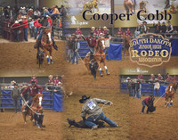 Collages