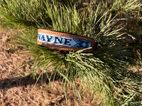 IMG-8007