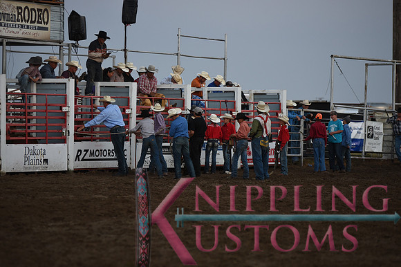 Wild Pony RaceDSC_6070