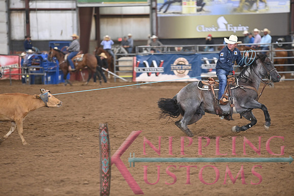 BRAZILE, TREVORDSC_0098.JPG