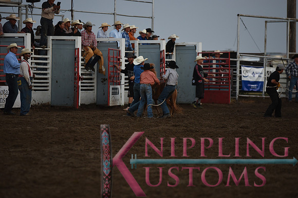 Wild Pony RaceDSC_6083