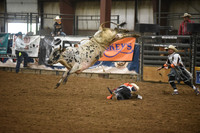 EDGAR, CASHDSC_8649.JPG